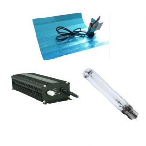 Digital 600w Light Kit