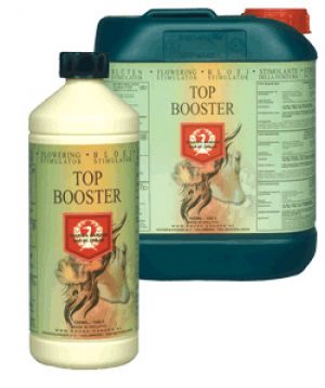HG Top Booster