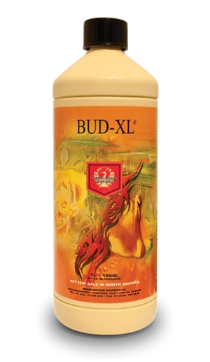 House And Garden Bud XL