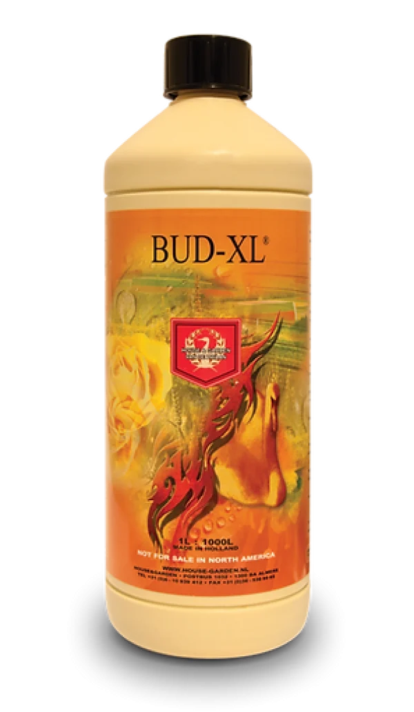 House And Garden Bud XL