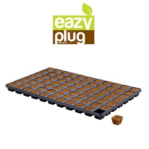 Eazy Plug Tray 77
